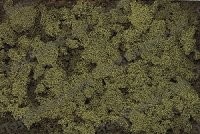 Woodland Scenics T35 Burnt Grass Extra Coarse Turf 18 Cu. In. Bag