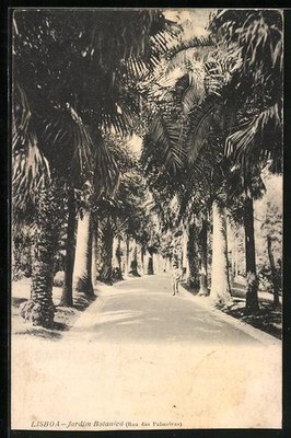 Ansichtskarte Lisboa, Jardim Botanico, Rua das Palmeiras 