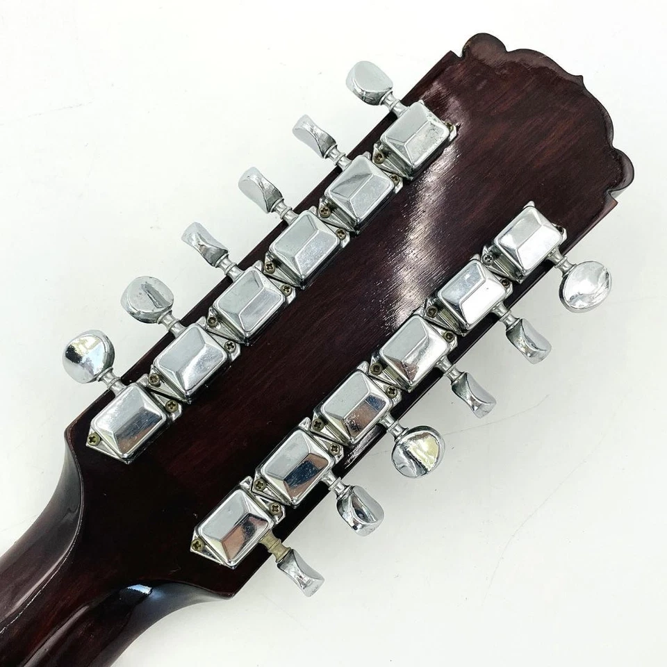 Guitarra Acústica Ventura Rose 12 Cuerdas De Colección Rara De JAPÓN Foto 4 de 4