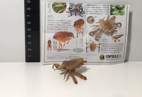 Kaiyodo Museum Q Crab Pubic Louse Insect Bug Figure New