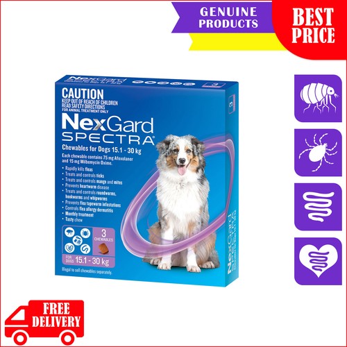 NEXGARD SPECTRA Flea Heartworm Treatment 3,6,12 Chews for 15 to 30 Kg Dog PURPLE eBay