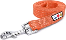 Orange Dog Leash 6 Ft M/L Reflective Durable Lightweight Dog Lead for Medium or 