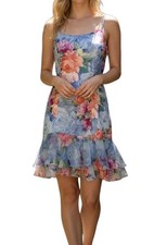 Vtg 90s Womens Blue Floral Ruffle Coquette Fairycore Whimsigoth Slip Dress Sz 10