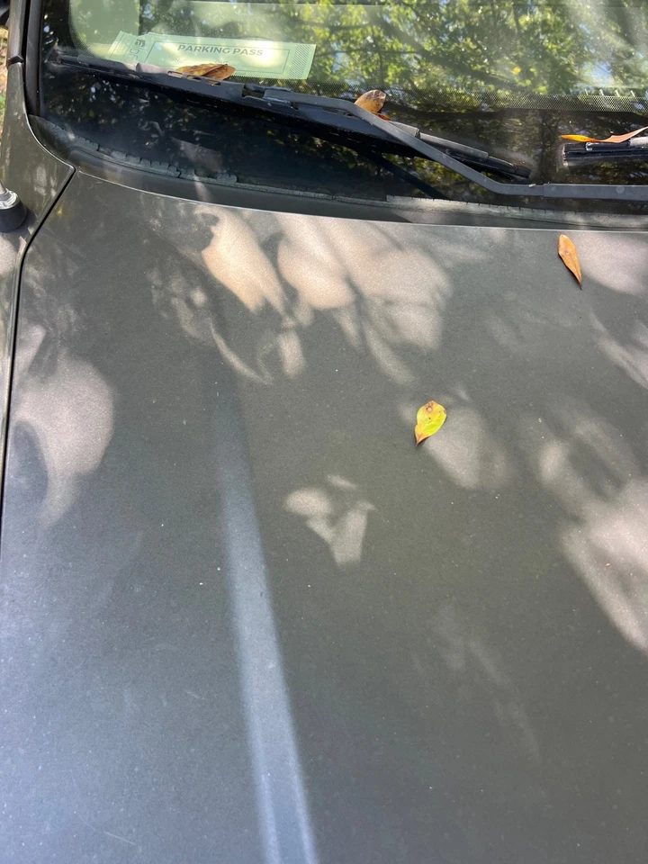 Chrysler Town & Country 2011-2016 OEM capó delantero tapa panel conjunto PXJ Foto 2 de 4