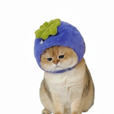 Pet Hat, Small Animal, Party Decor, Colorful, Adjustable