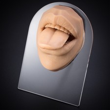 Skin Color Human Tongue Model Soft Silicone Lifelike Acrylic Stand Mouth