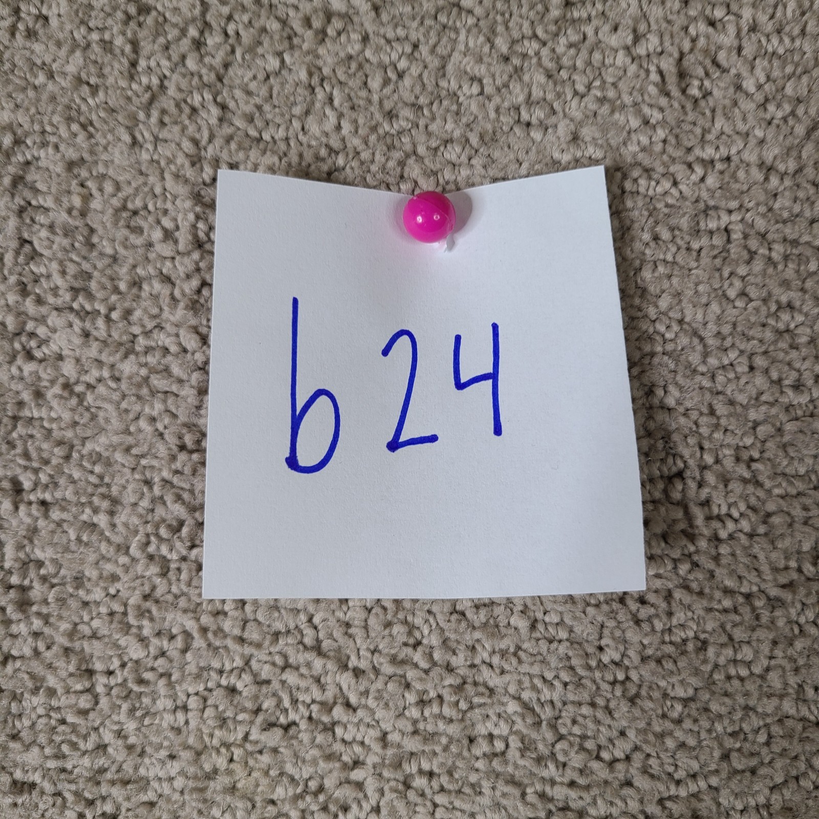 Picture 12 of 12