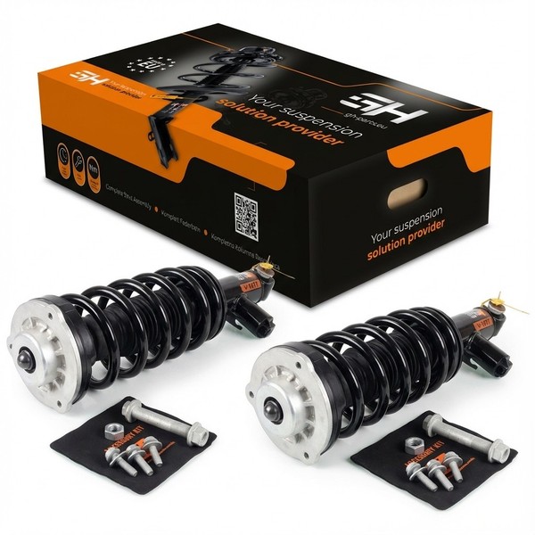 2X Komplett StoßDäMpfer Federbein Satz Hinten FüR BMW X3 F25, X4 F26 EDC-image
