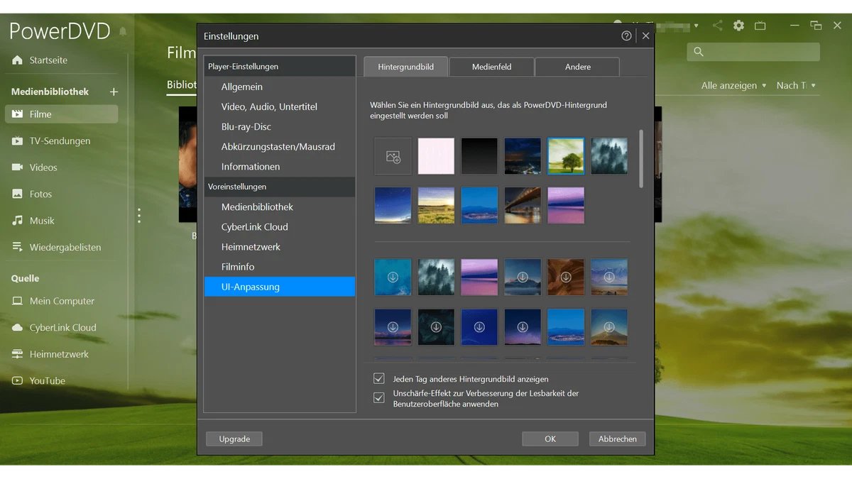 CyberLink PowerDVD 24 licencia permanente estándar 64 bits Windows 11/10 ESDKey por correo electrónico