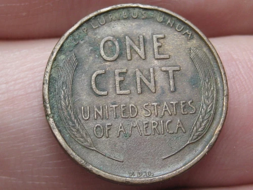 1909 VDB Lincoln Cent Wheat Penny- VF/XF Reverse Details