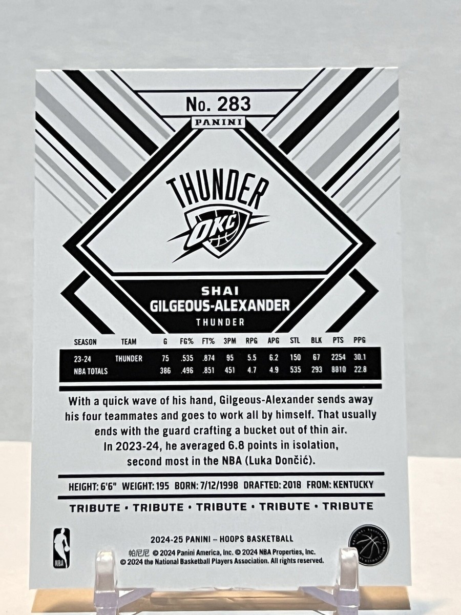 2024-2025 HOOPS ケースヒット　アレクサンドル　サー 2024-2025 HOOPS ケースヒット アレクサンドル サー 2024-25