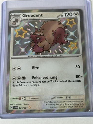 Greedent - 206/091 - Pokemon Paldean Fates Shiny Rare Card NM