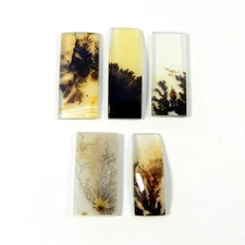 Natural Shazar Scenic Dendrite Agate Gemstone Cabochon Wholesale Lot 5 Pc #11890