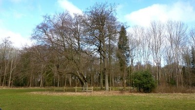 Foto 6x4 stehend auf der unzähligen Linie Cirencester Blick genau nach Norden auf th c2018