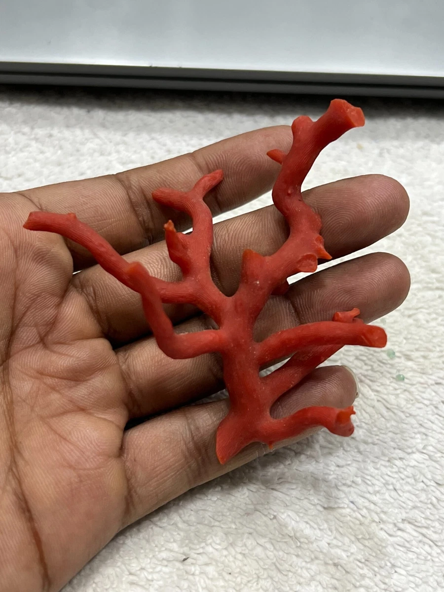 Fresh Coral Unpolished Rough Branch-Italian Red Coral Loose Gemstone | eBay