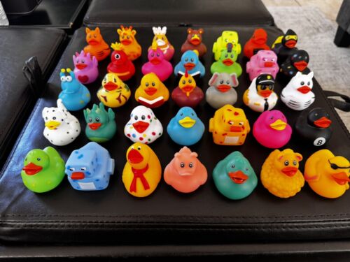 Rubber Ducks Assortment Ducks for Jeep Ducking Ten Pack Fast USA Shipping