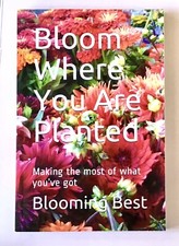 6x9 Blank Journal Notebook Diary  Bloom Where You Are Planted  Colorful Flowers