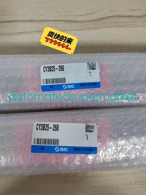 1PC NEW SMC CY3R25-260 cylinder Shipping by DHL/FedEX