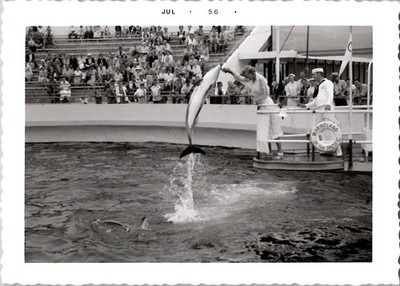 Marineland of the Pacific Rancho Palos Verdes Los Angeles CA B&W 1950s VTG Photo