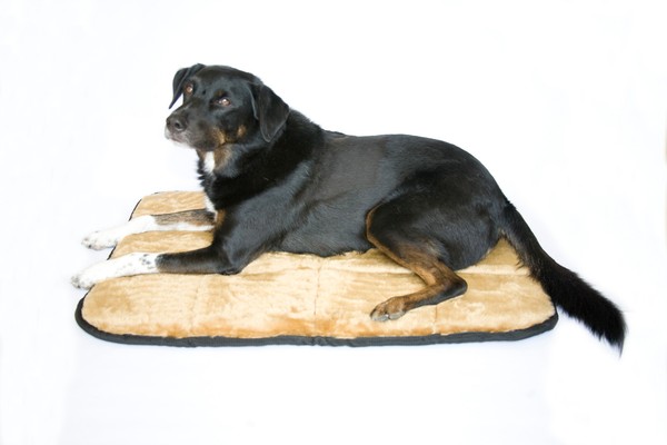 dog mat large