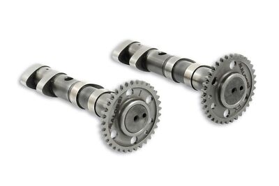 NOCKENWELLE DOUBLE POWER CAM MALOSSI FÜR YAMAHA T MAX 500 IE 4T LC 2008-2011