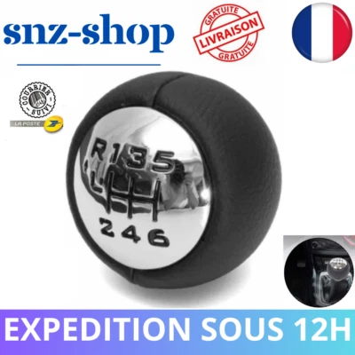 Pommeau De Vitesse Peugeot 6 Vitesse 407 307 3008 5008 308 Citroën C4 Picasso