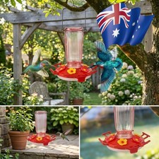 Glass Hummingbird Feeder for Outdoors Hanging Humming Bird Feeders