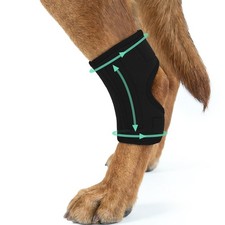 Dog Knee Brace for Back Leg, Black, M
