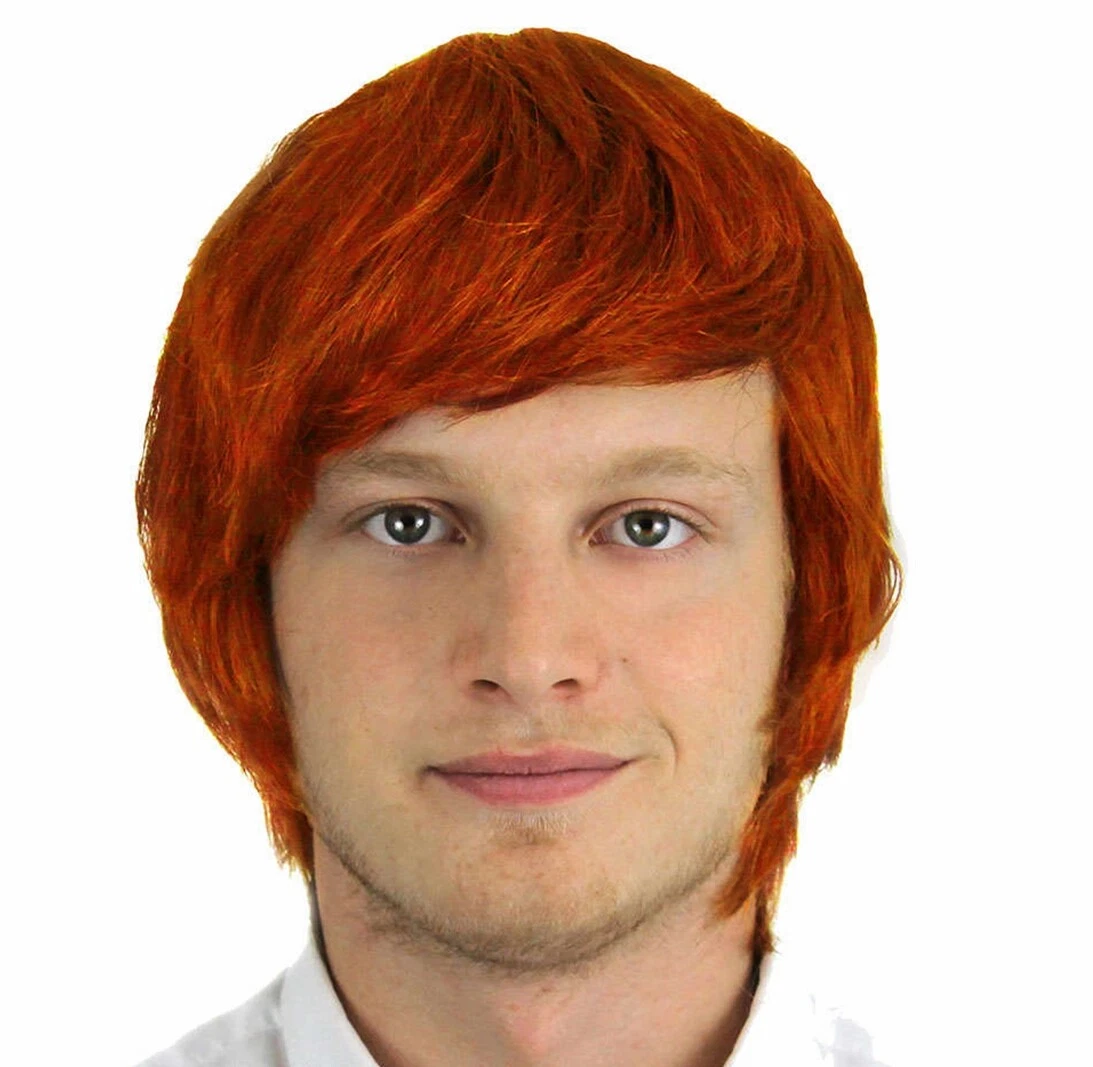 MENS ADULTS GINGER WIG BOY BAND FANCY DRESS ACCESSORY POP STAR FILM BOOK