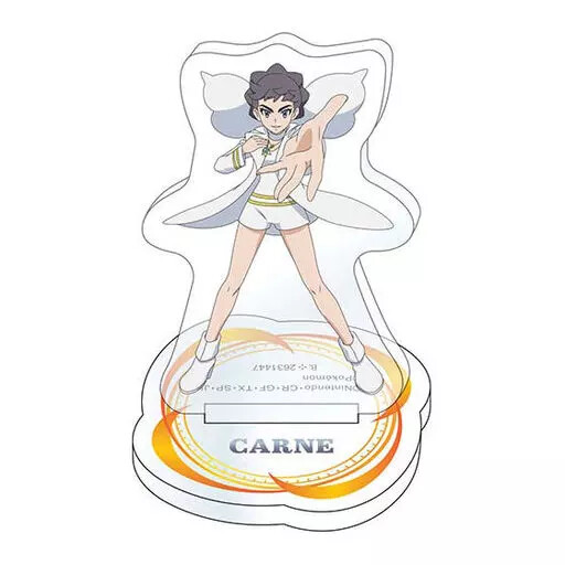 Acrylic Stand Panel Carne Pokemon Vol.3