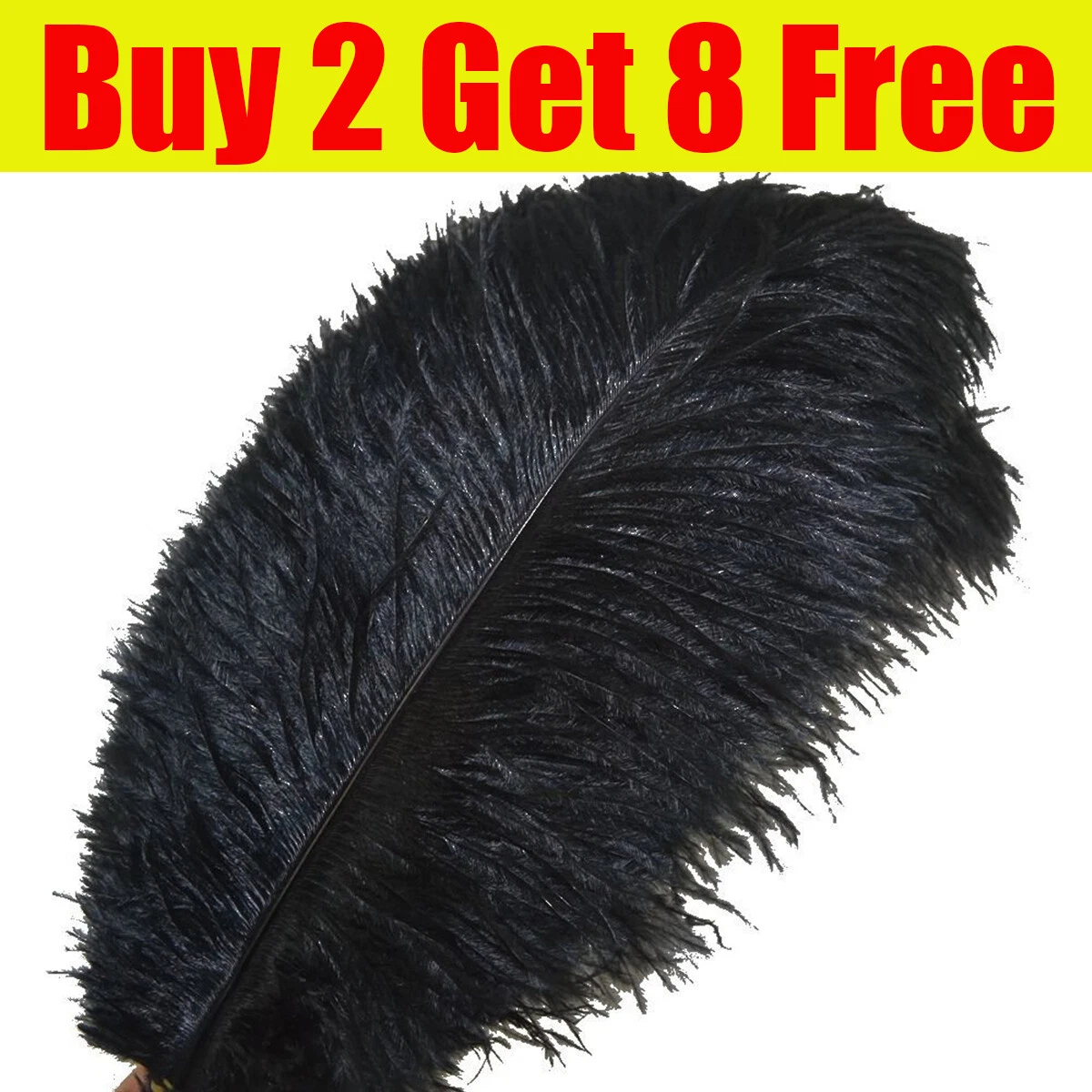 Ostrich feathers on sale bulk uk