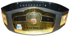 Replica Wrestling Gürtel *NWA WORLD'S HEAVYWEIGHT CHAMPIONSHIP BELT* wwe METALL