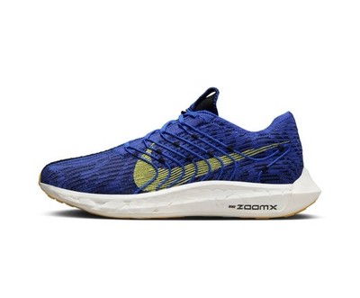 Nike ZoomX Pegasus Turbo Next Nature DM3413-401 Sneaker Laufschuhe Damen Gr.38,5