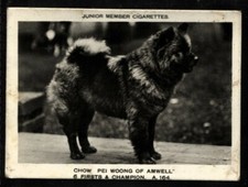 Tobacco Card, Pattreiouex, ANIMALS STUDIES,1925, Chow Pei Woong of Amwell, #164