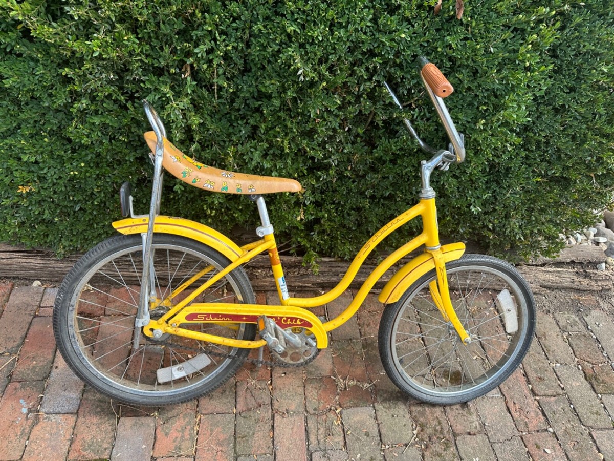 schwinn bike1979 fair lady - lil' chik. Vintage. | eBay schwinn bike1979 fair lady - lil' chik. Vintage. | eBay