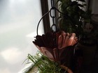 Bild 8 von 11