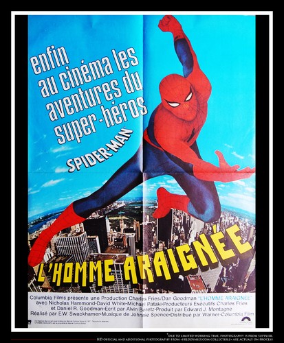 SPIDERMAN Nicholas Hammond French Medium Vintage Movie Poster Original 1977