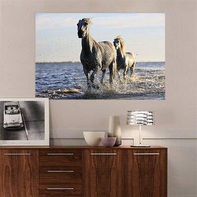 3D Sea Horse Running C03 Animal Wall Stickers Wallpaper Mural Wall Murals Zoe
