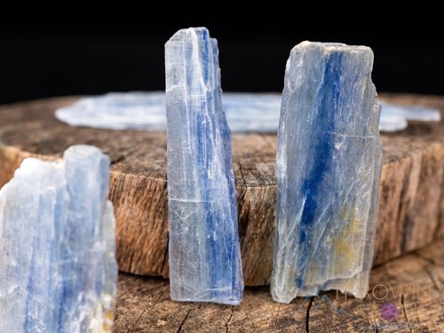 Raw Blue KYANITE Crystals - Metaphysical Home Decor, Raw Rocks Minerals, E0762 - Picture 5 of 10