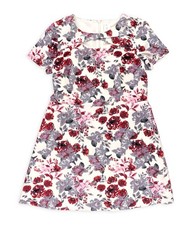 Kensie Womens Floral A-line Dress, Multicoloured, X-Large