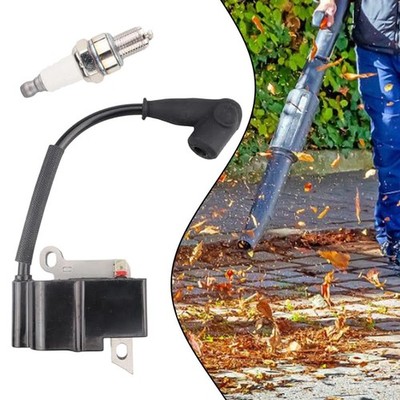 Zündspule mit Zündkerze für BR800 BR800X BR800C E Modell 42834001301