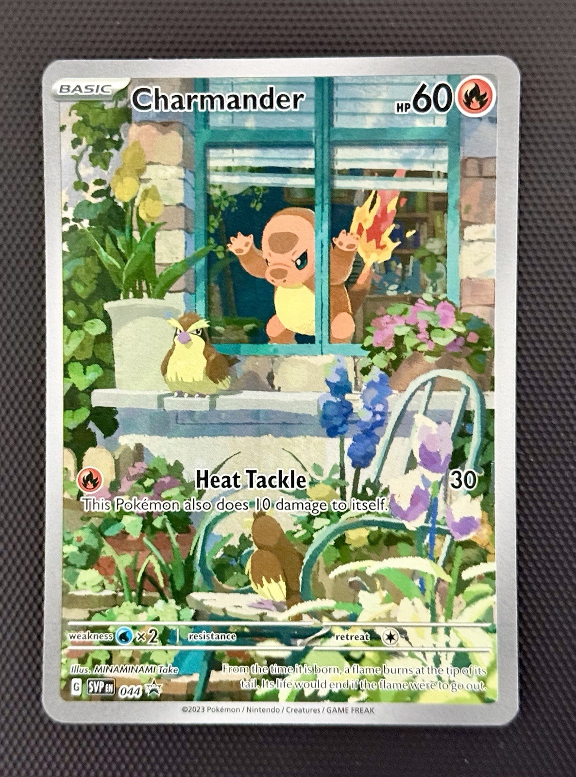 2023 Pokémon Charmander SVP 044 - Obsidian Flames Promo Card - Full Art Holo-NM