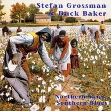 Northern Skies, Southern Blues  von Stefan  Baker,Du... | CD | Zustand sehr gut
