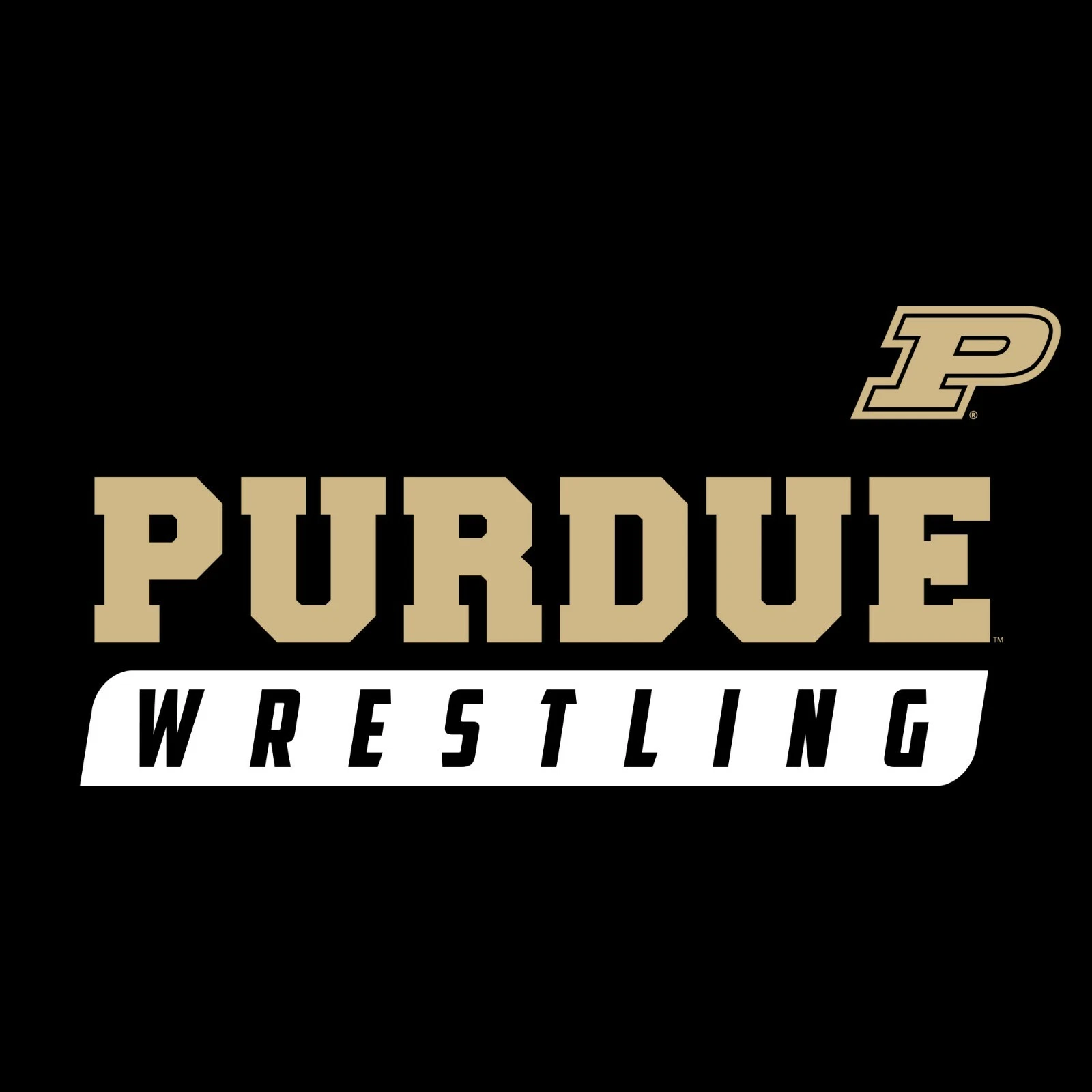 VETEMENTS Purdue Boilermakers Wrestling Slant Felpa con Cappuccio Colore Squadra Nero