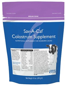 Image of 5352211000016