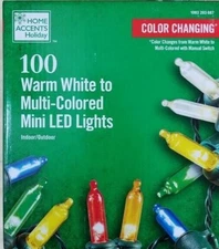 100 Color Changing LED Warm White Multi color Lights Mini Christmas 