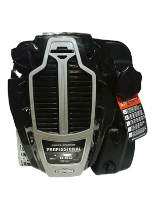 Briggs & Stratton