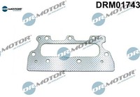 Dr.Motor Automotive DRM01743 Dichtung FüR AbgaskrüMmer Dichtung