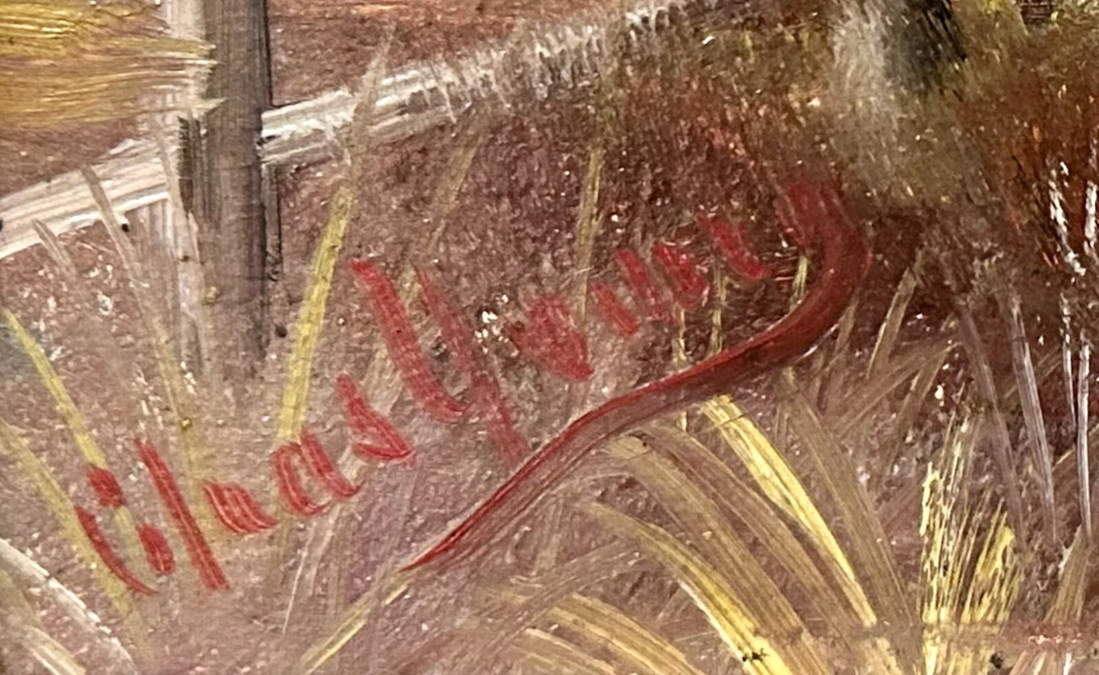 Picture 6 of 13