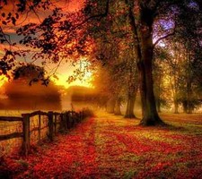 Countryside Autumn Trees Warm Sunset Large Wall Art Framed Canvas Picture 20x30